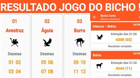 resultado jogo do bicho federal de hoje 11 8